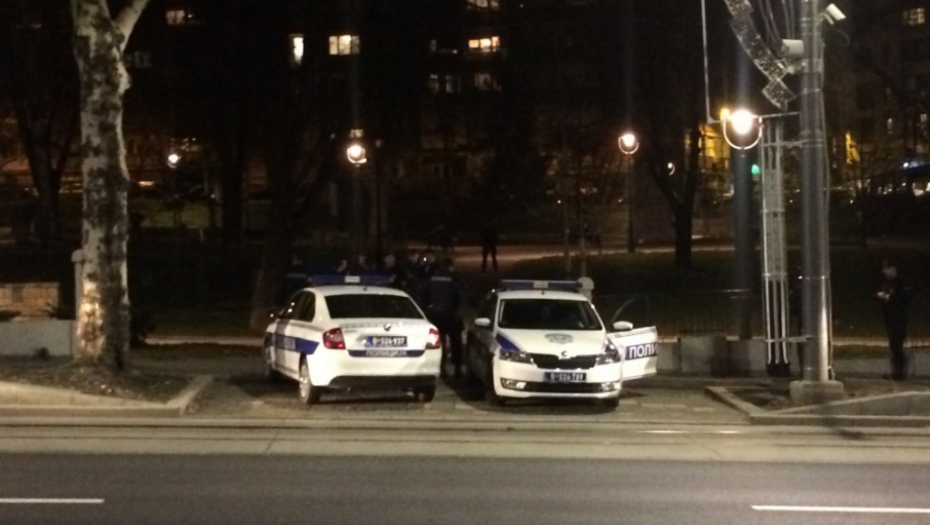 Tuča navijača u Karađorđevom parku, policija 