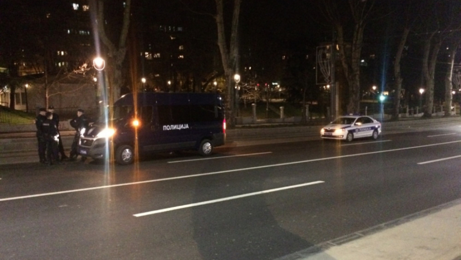 Tuča navijača u Karađorđevom parku, policija 