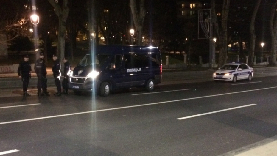 Tuča navijača u Karađorđevom parku, policija 