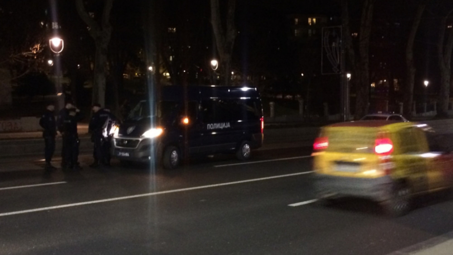 Tuča navijača u Karađorđevom parku, policija 