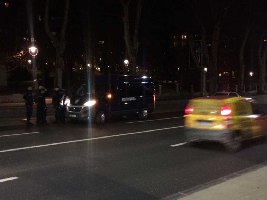 Tuča navijača u Karađorđevom parku, policija