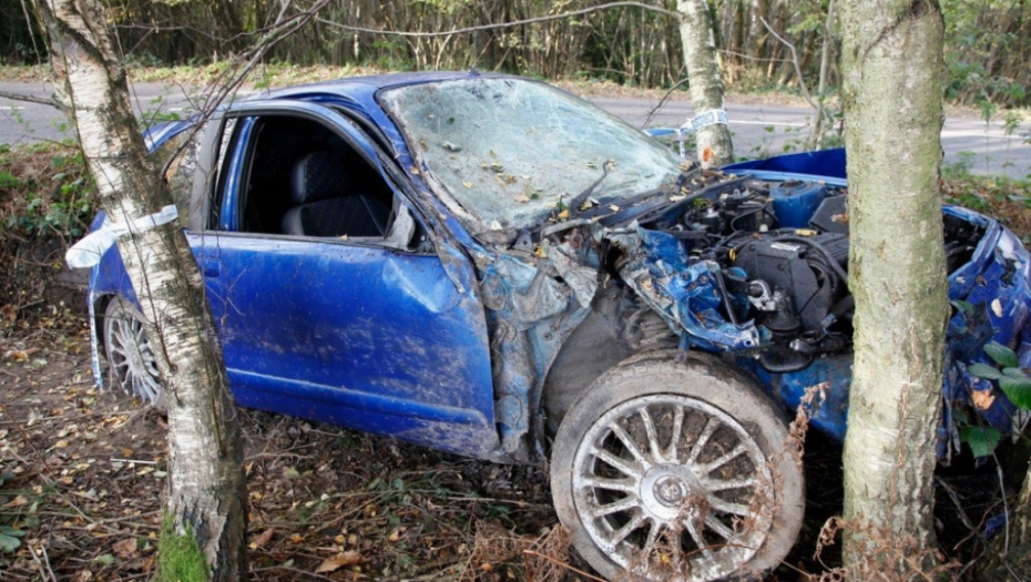 saobraćajna nesreća drvo