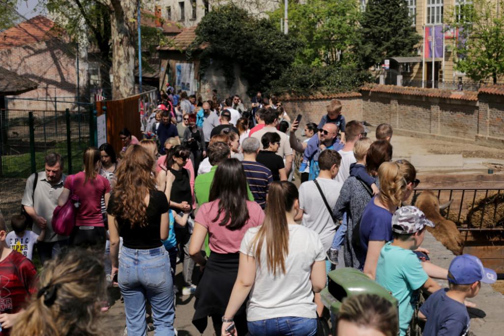 Zoološki vrt u Beogradu