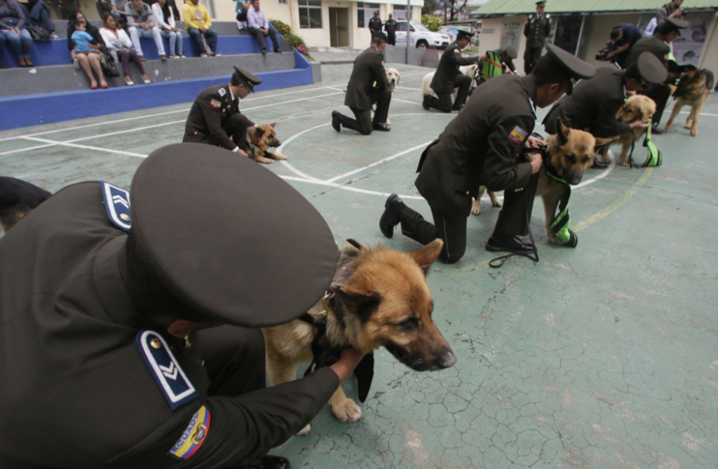 Policijski psi odlaze u penziju