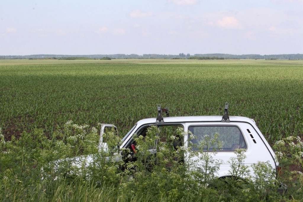 Idvor, ubistvo, njiva