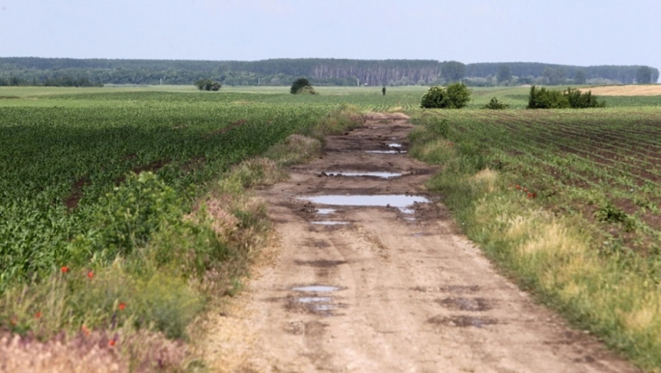 Idvor, ubistvo, njiva