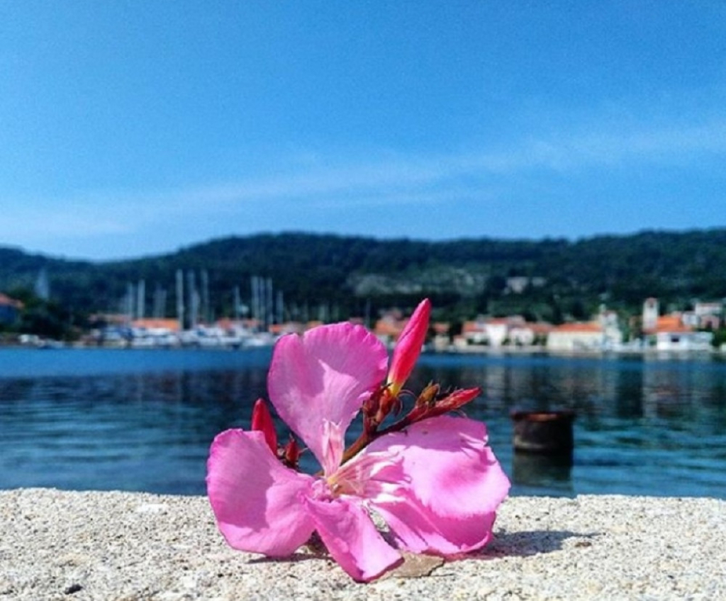 More, odmor, letovanje, Jadransko more