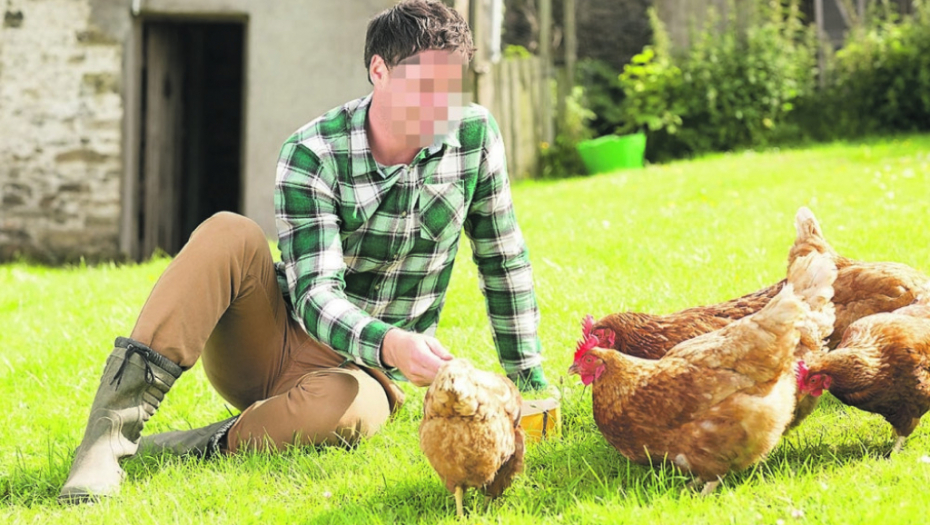 Seksualno zlostavljao kokoške