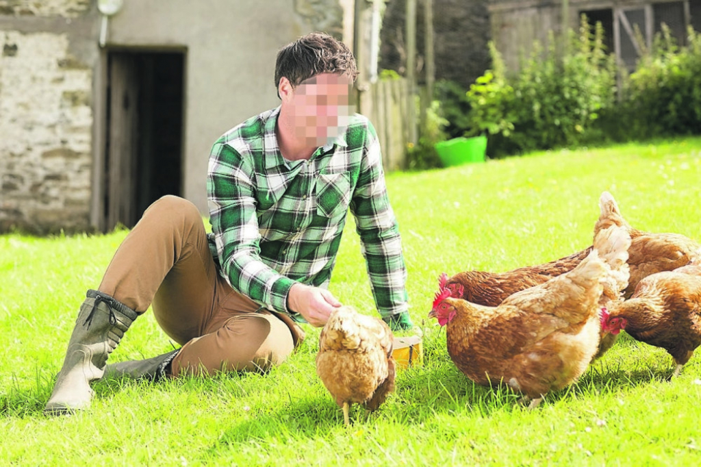 Seksualno zlostavljao kokoške