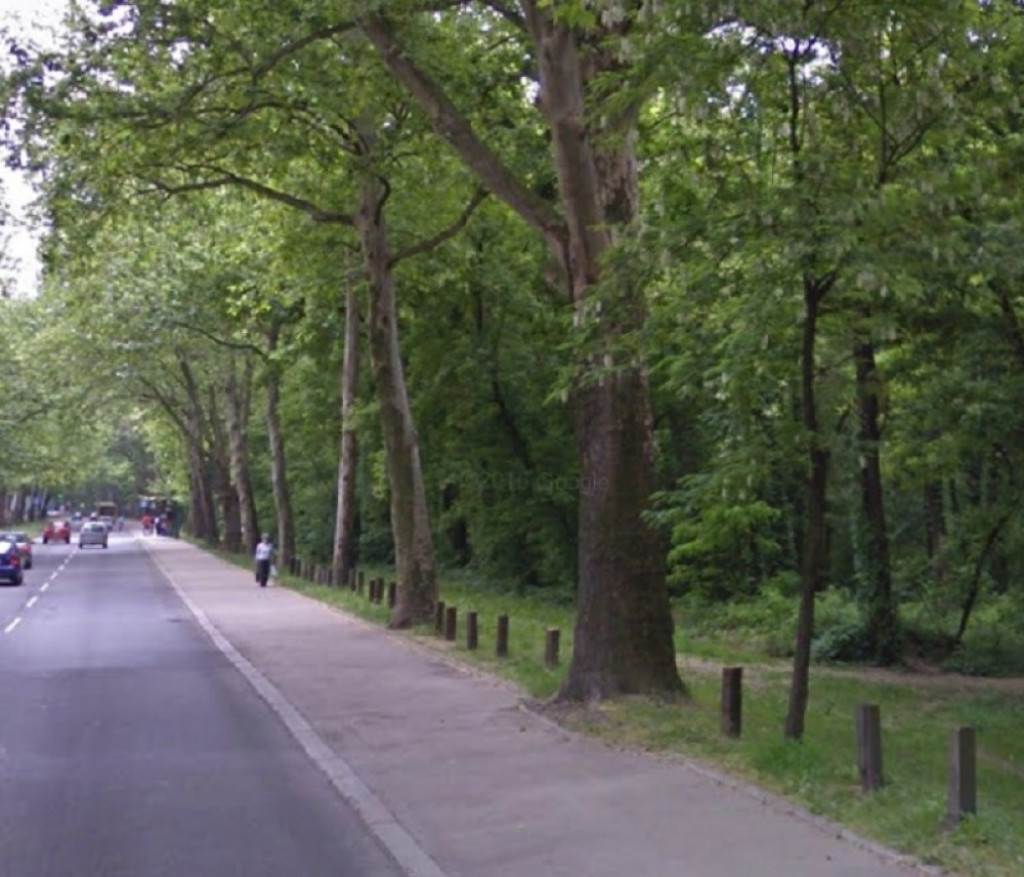 Banjička šuma, pokušaj silovanja