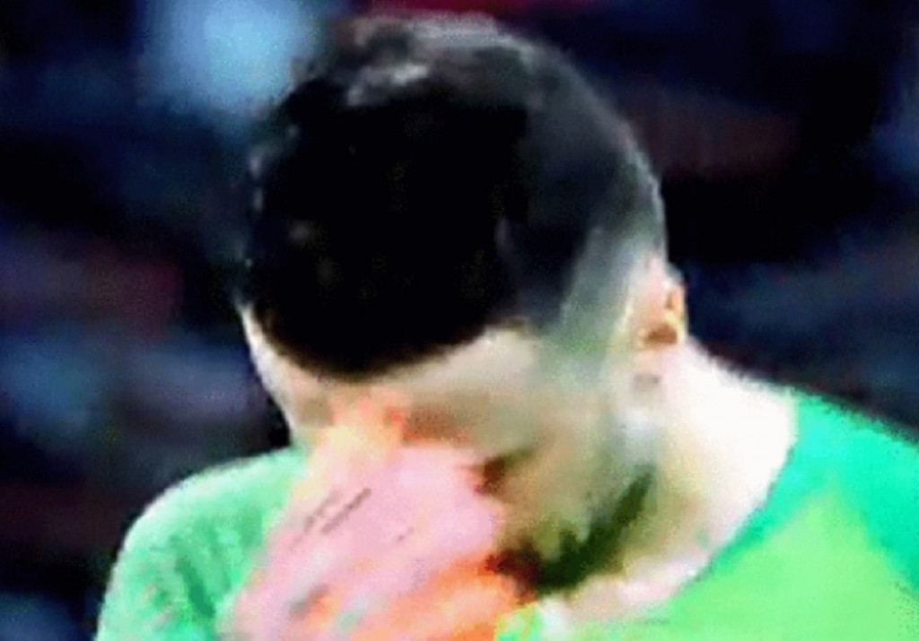 Danijel Suba&scaron;ić