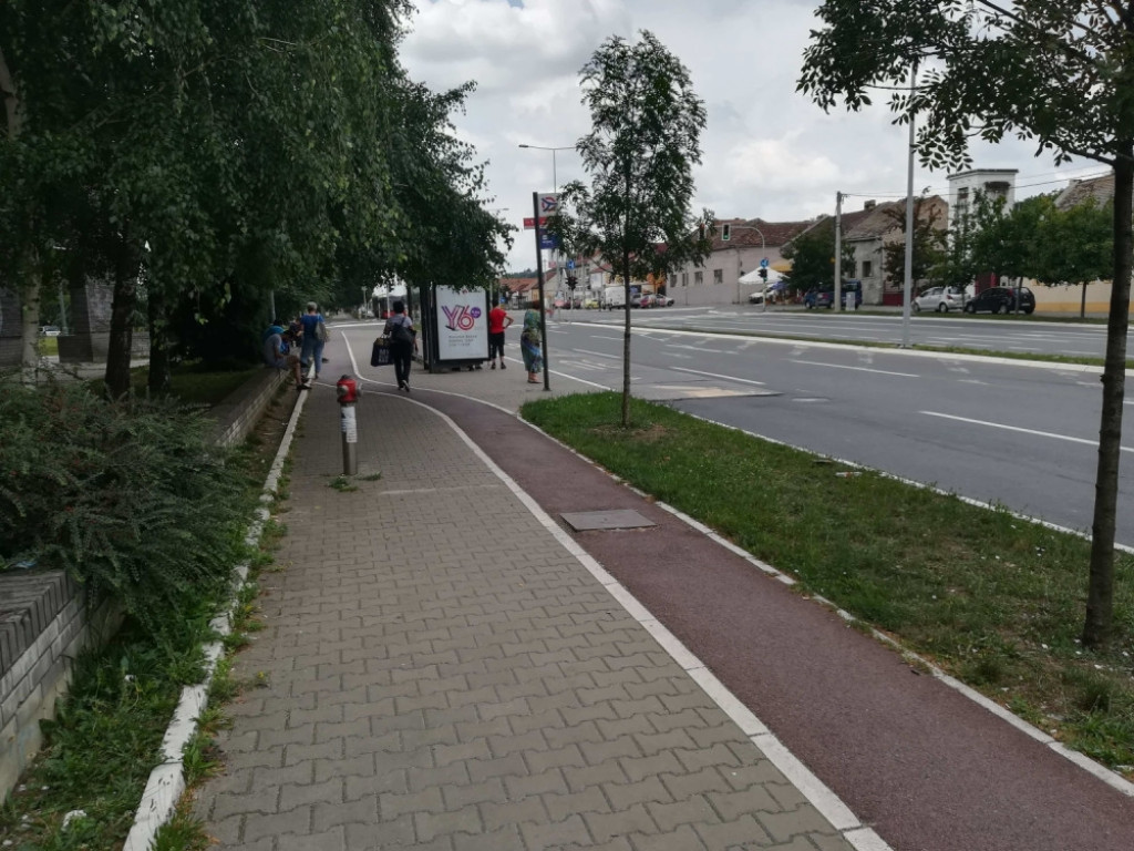  Mesto  pronalaska mladi'a