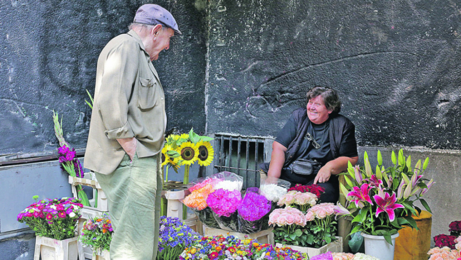 Vlasta Velisavljević