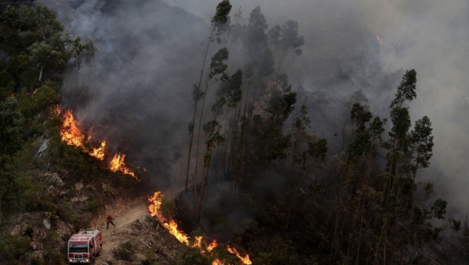 Portugal požar šumski požar