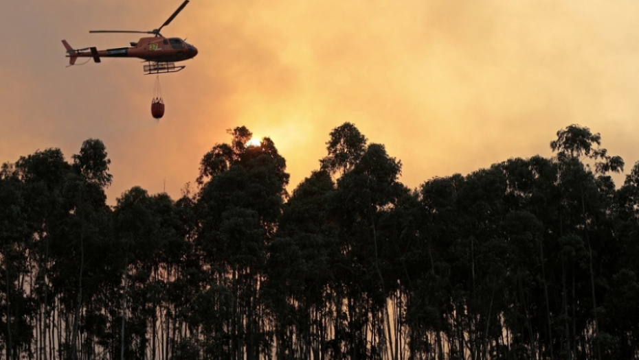 Portugal požar šumski požar