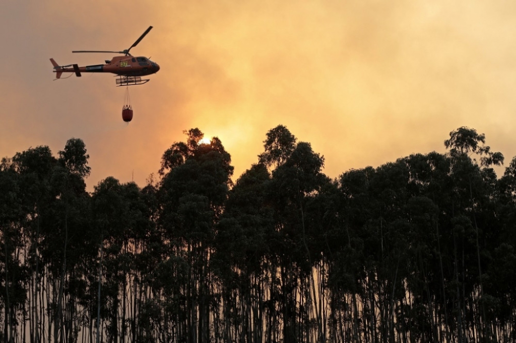Portugal požar &scaron;umski požar