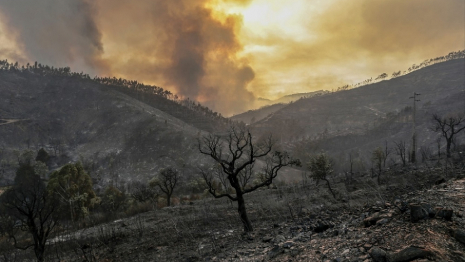 Portugal požar šumski požar