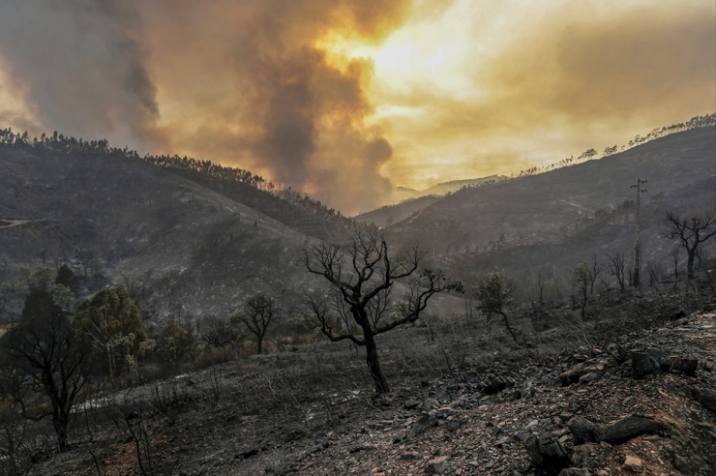Portugal požar šumski požar