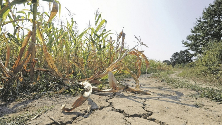 Suša, nepogoda, zmlja