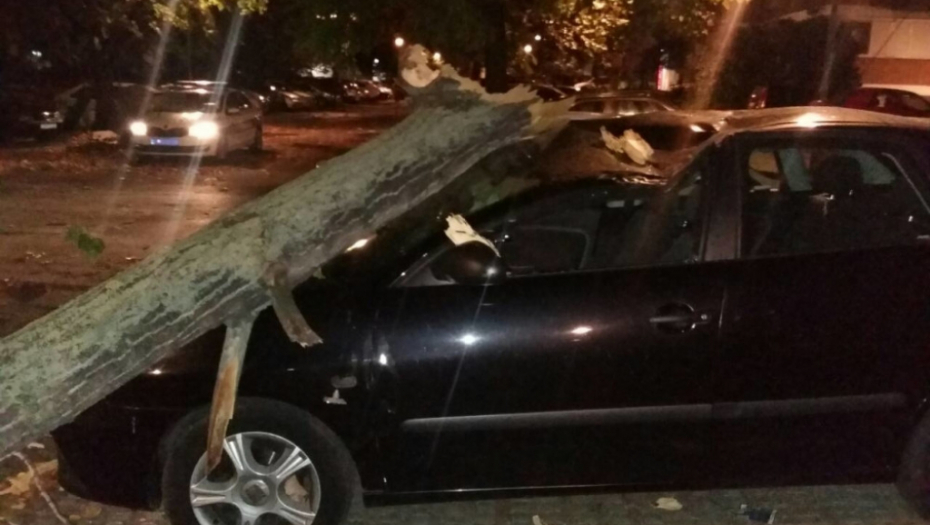 Vetar oborio drvo na automobil