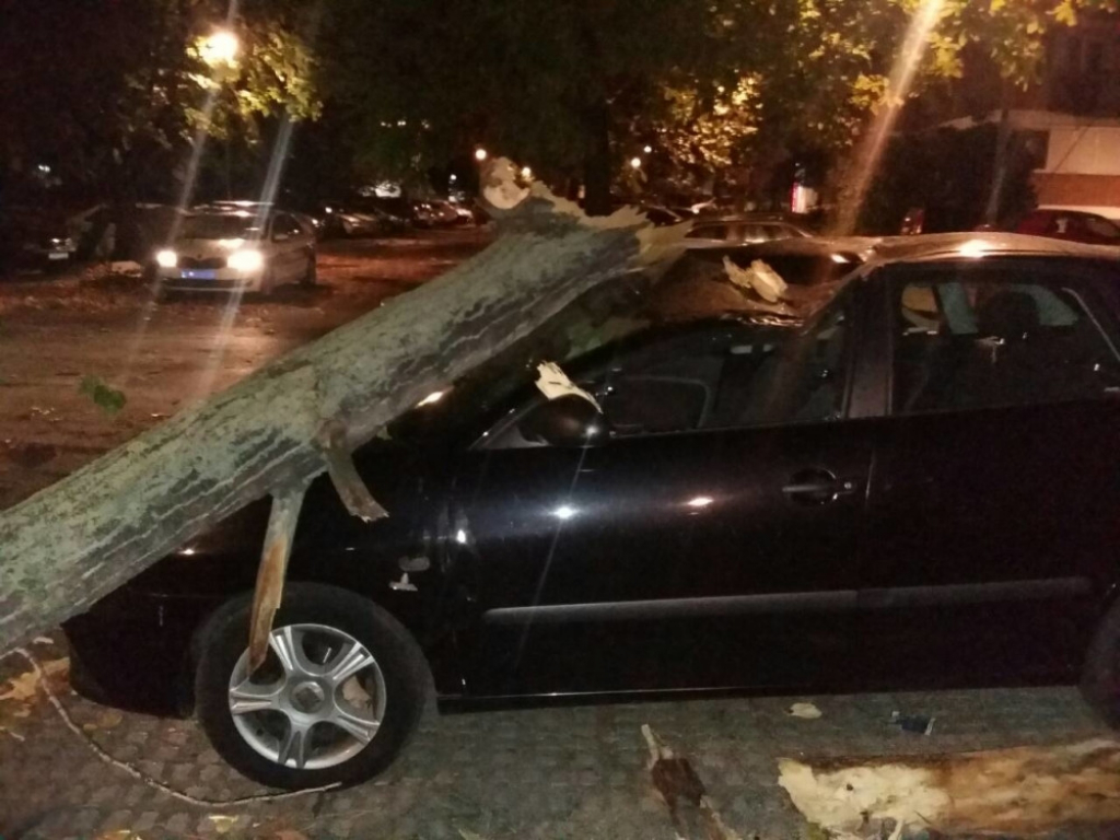 Vetar oborio drvo na automobil