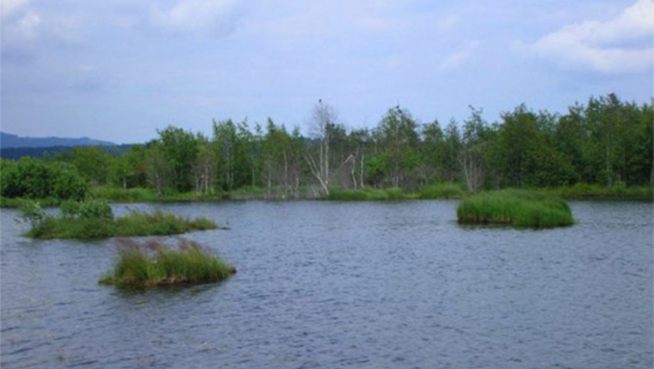 Vlasinsko jezero