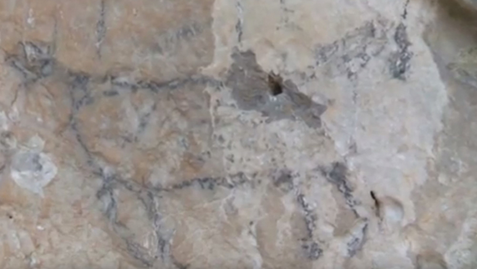 Oštećen jedini praistorijski pećinski vrtež u Srbiji