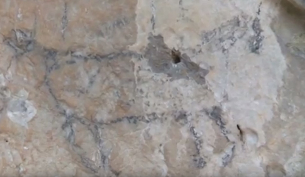 O&scaron;tećen jedini praistorijski pećinski vrtež u Srbiji