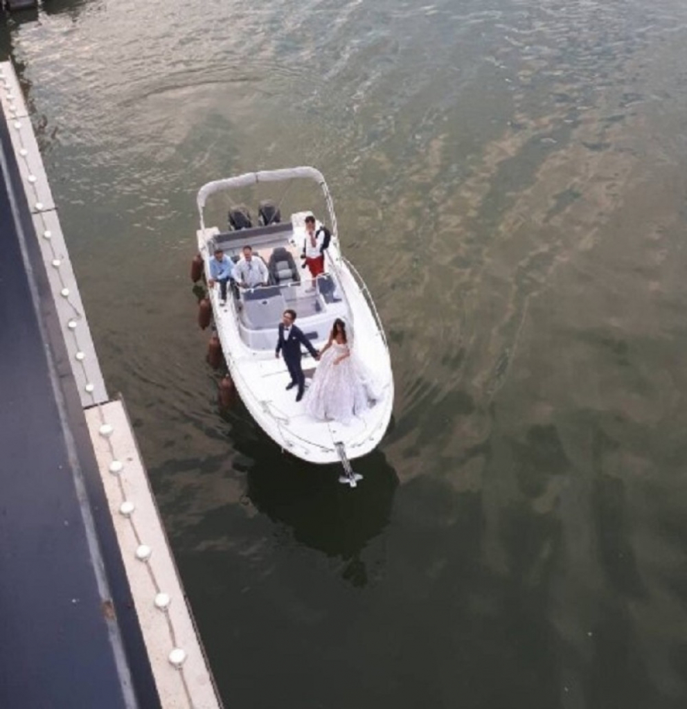 Svadba Stevana Anđelkovića