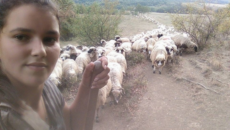 Sofija čuva ovce 