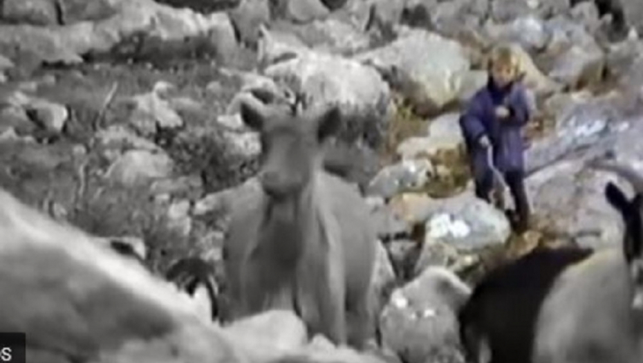 Luka Modrić, mali čobanin