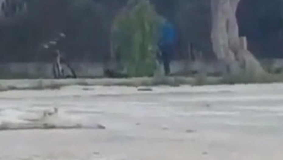 Monstrum besomučno udara psa