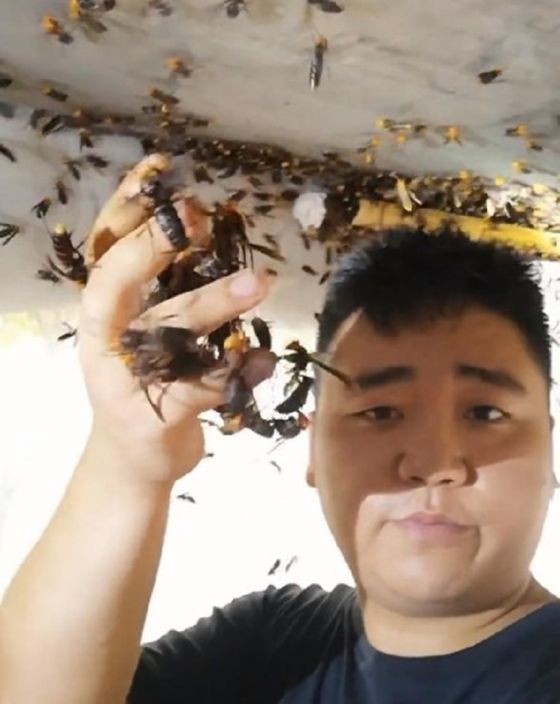 Uzgajivač str&scaron;ljenova