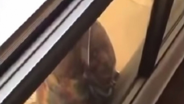 Jeziv slučaj u Kuvajtu