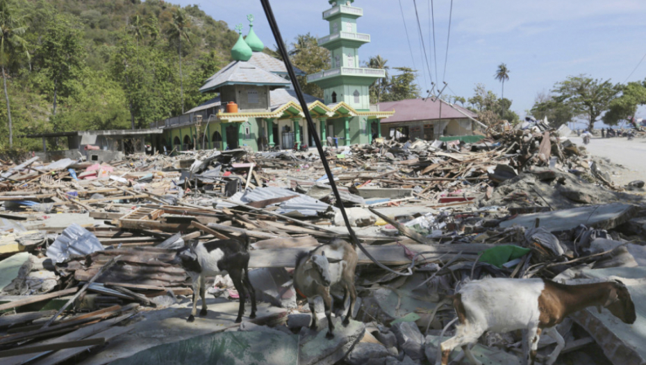 Posledice zemljotresa i cunamija u Indoneziji
