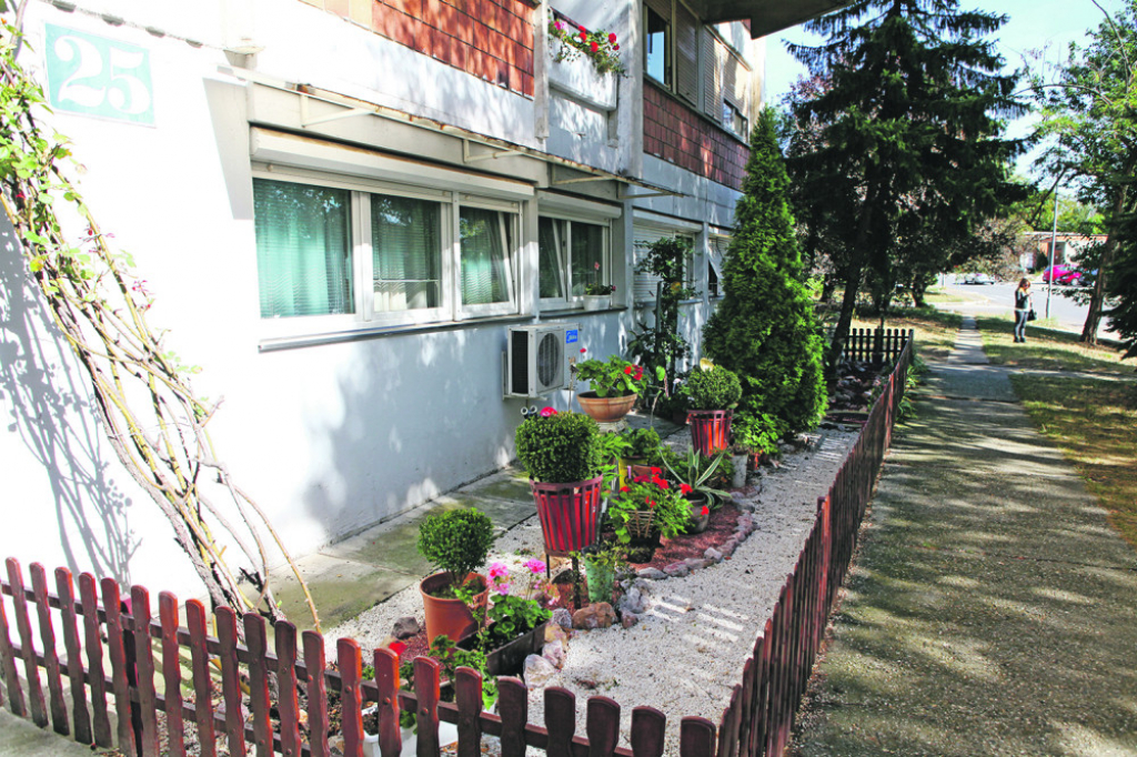 Ba&scaron;ta ispred zgrade