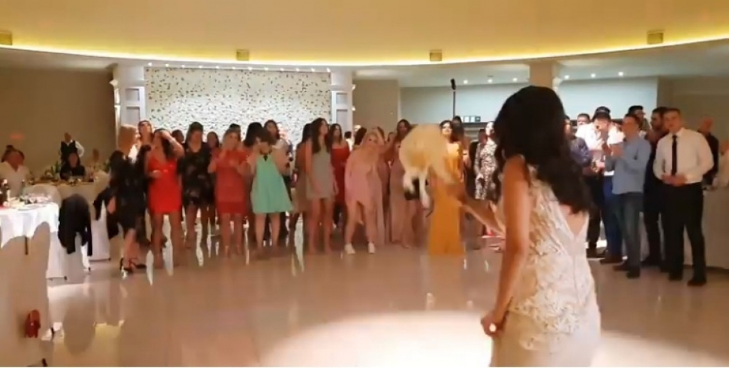 Svadba Marije i Filipa