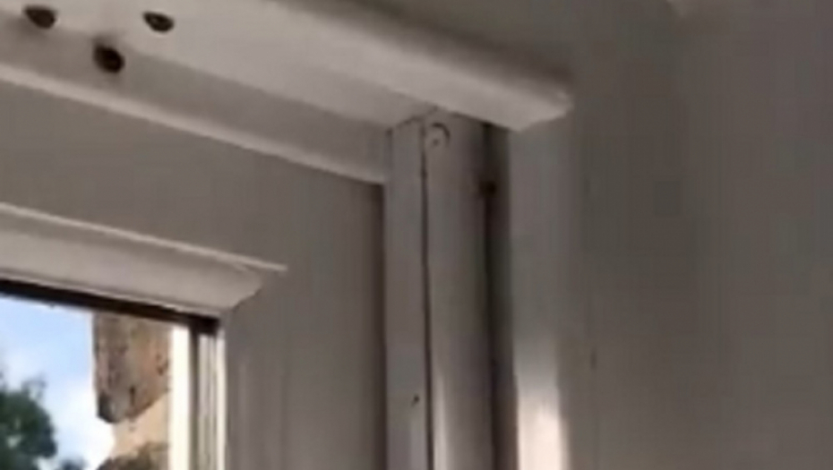 Bubamare sa seksualno prenosivim bolestima