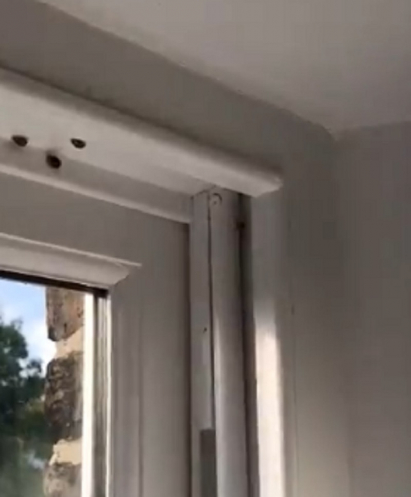 Bubamare sa seksualno prenosivim bolestima