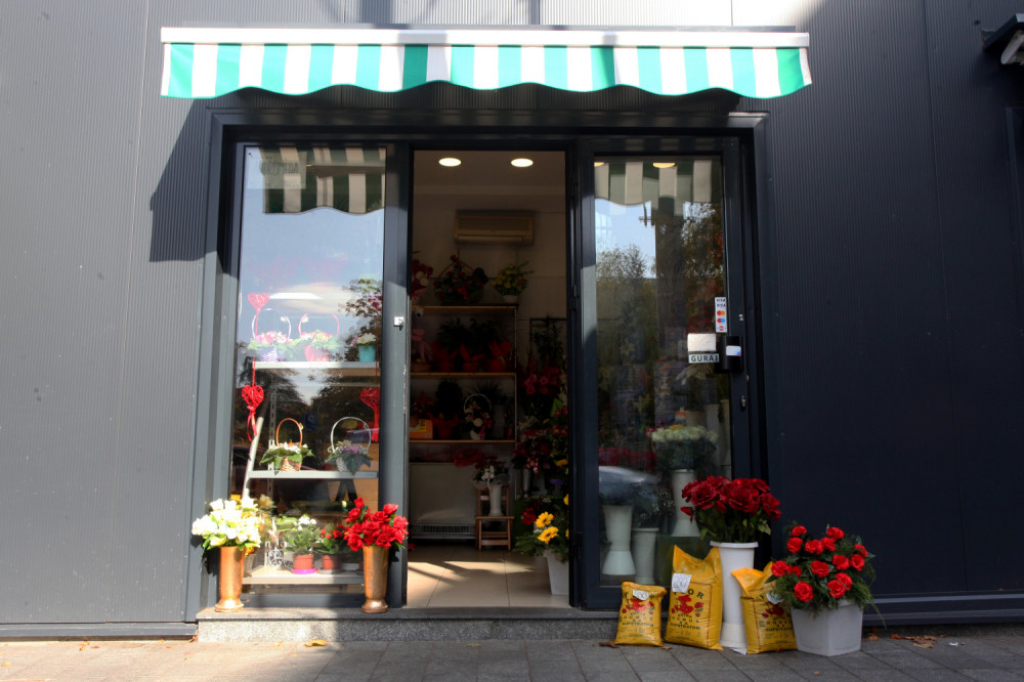 Komšije Milene Dravić