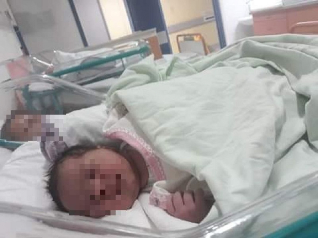 Metohija Lovreković