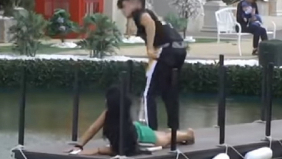 David Dragojević, Aleksandra Subotić