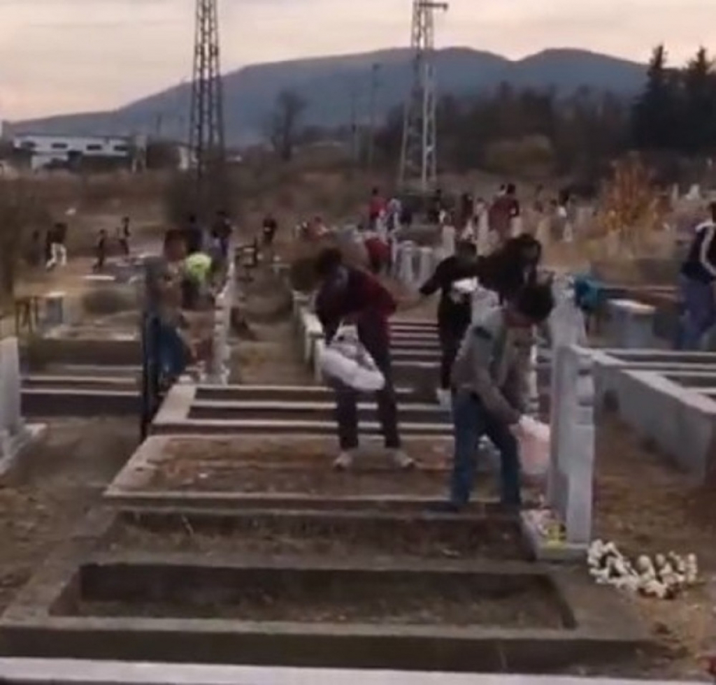 Kupe ostatke hrane sa groblja