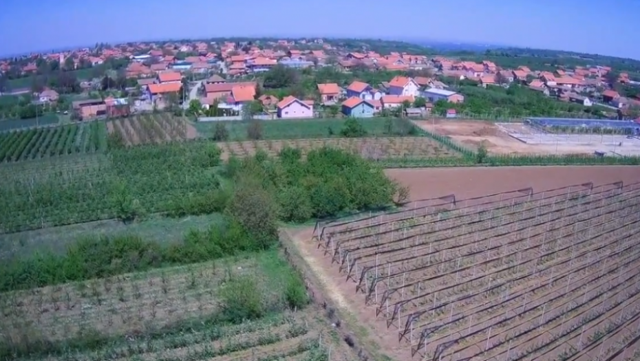 Selo Udovice