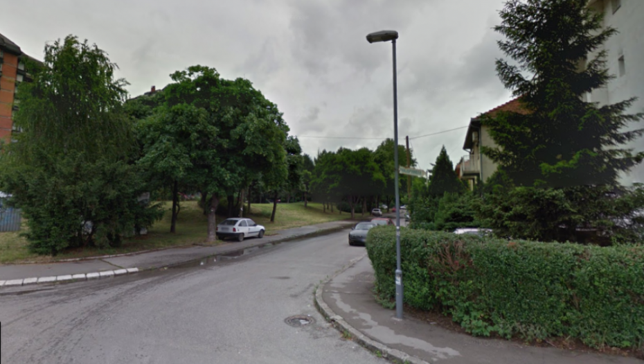 Milice Šuvaković, Galenika