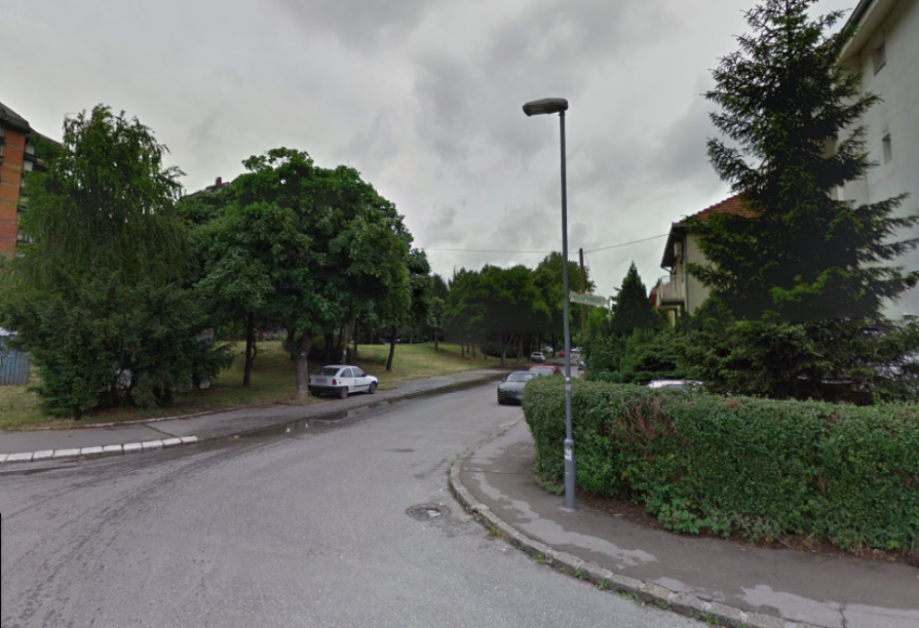 Milice &Scaron;uvaković, Galenika