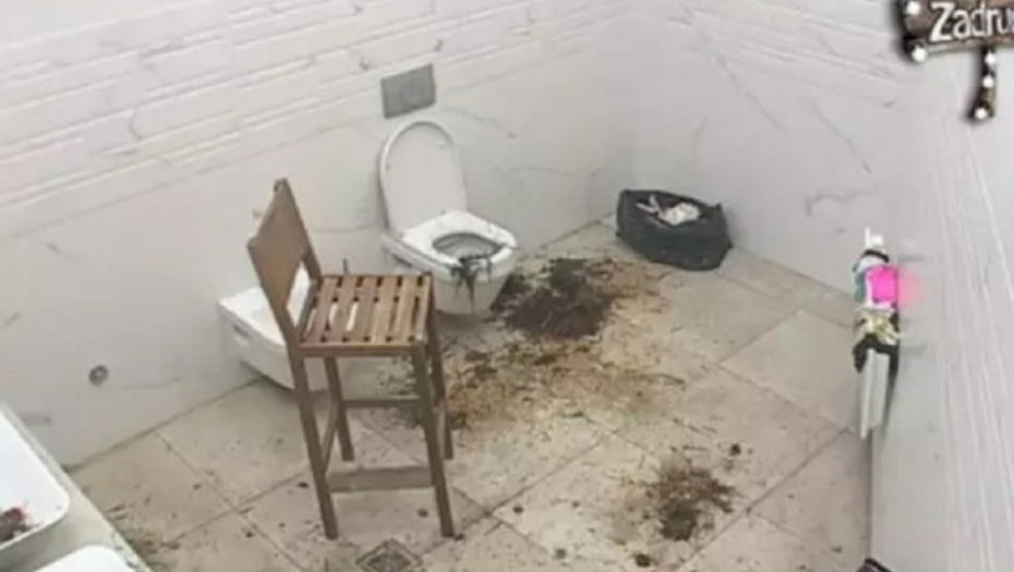 Zorica Marković, Zadruga