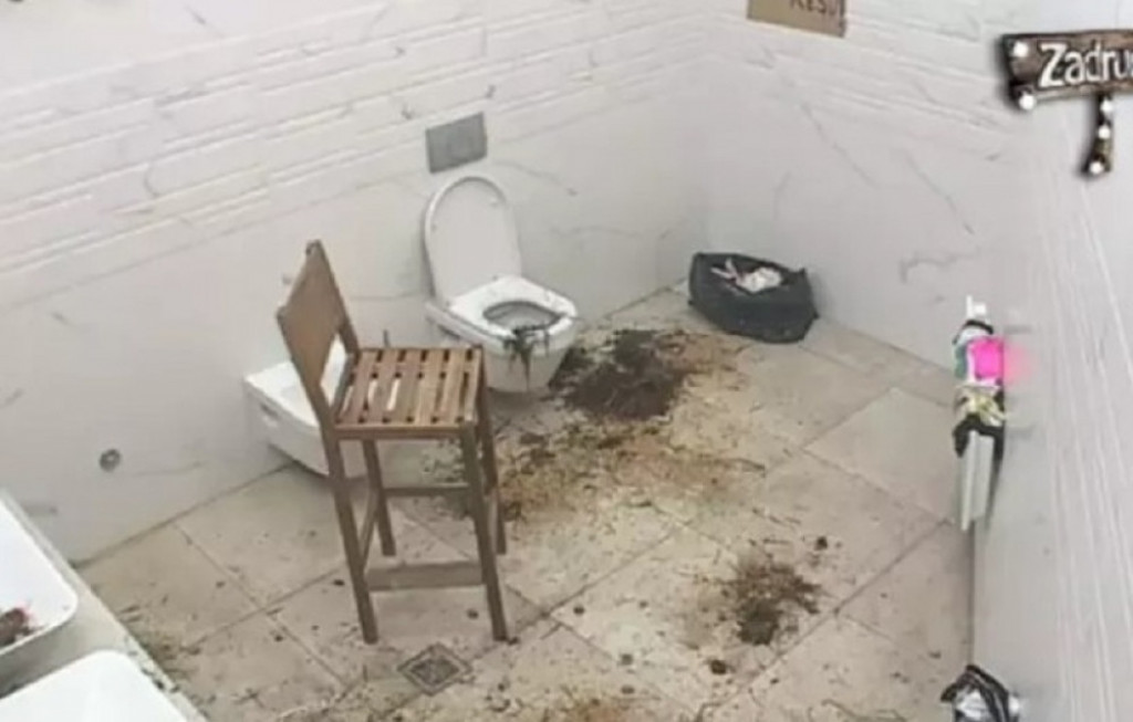 Zorica Marković, Zadruga