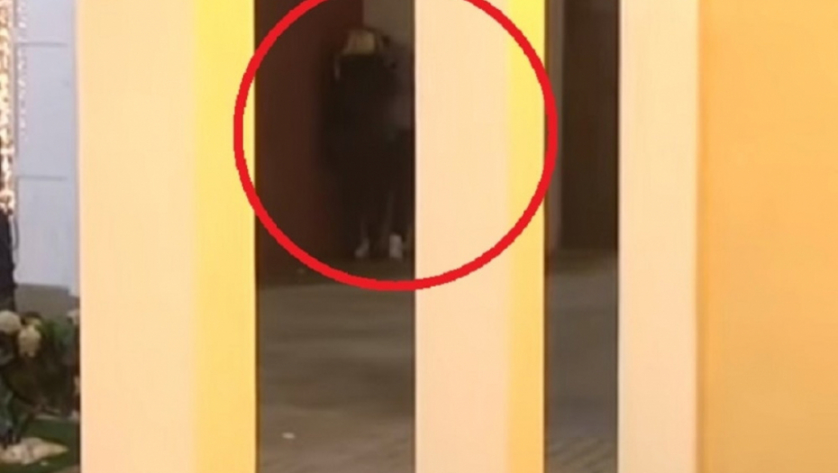 Miki Đuričić i Suzana Perović