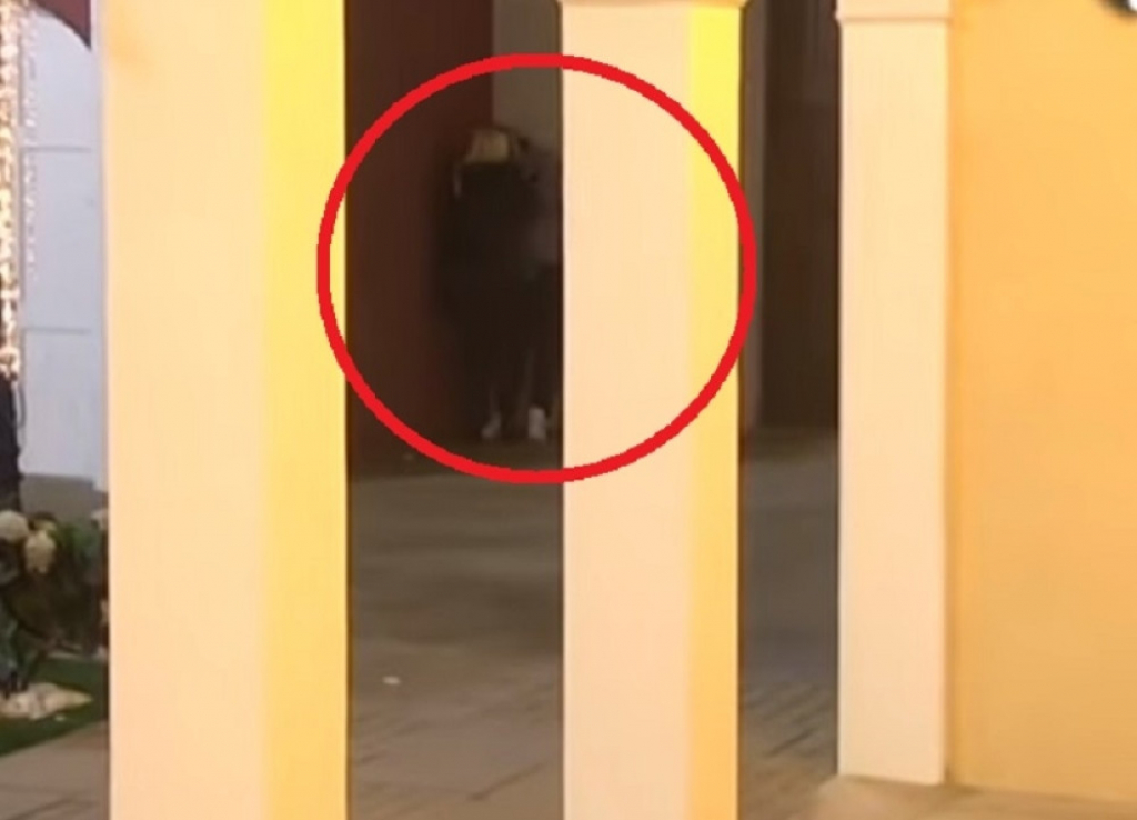 Miki Đuričić i Suzana Perović